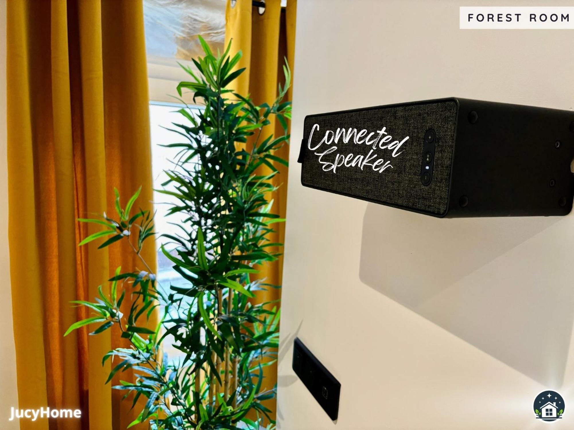 Forest فالنسيان المظهر الخارجي الصورة